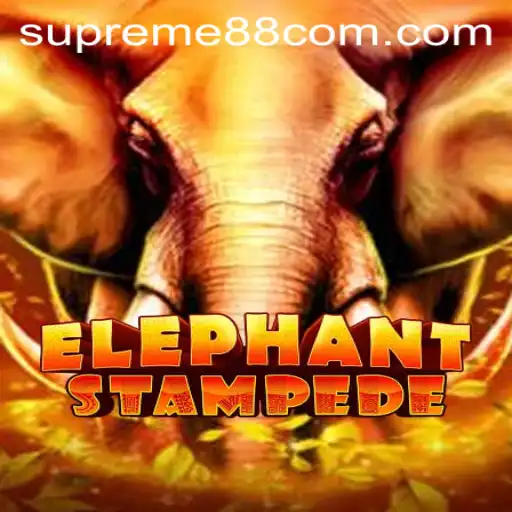 Discovering ElephantStampede: A Thrilling New Game with SUPREME88
